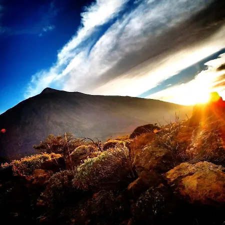 Loft Canary Dream * El Medano (Tenerife)