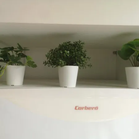 Loft Canary Dream